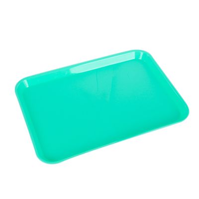 Autoclavable Plastic Instrument Tray 