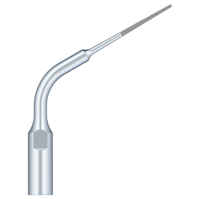 Remove Dental Overhangs In The Pulp Chamber ED5D