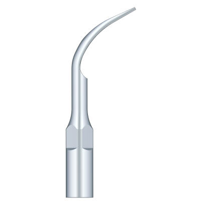 Supragingival Scaling G2