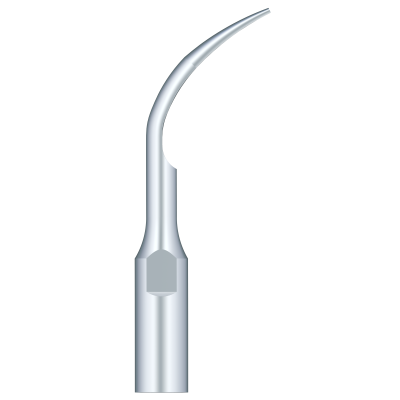 Supragingival Scaling GD1