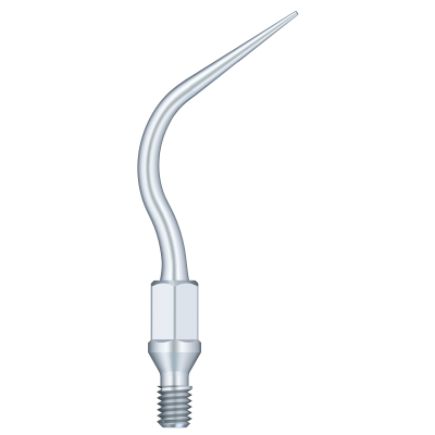 Supragingival & Subgingival Scaling GK7