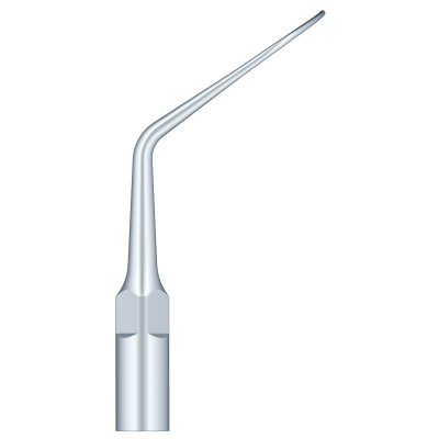 Periodental Scaling P2L