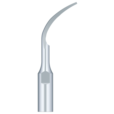 Periodental Scaling PD1