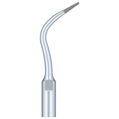 Remove Calcificationin The Coronal Third Of The Roof Canal PD4D