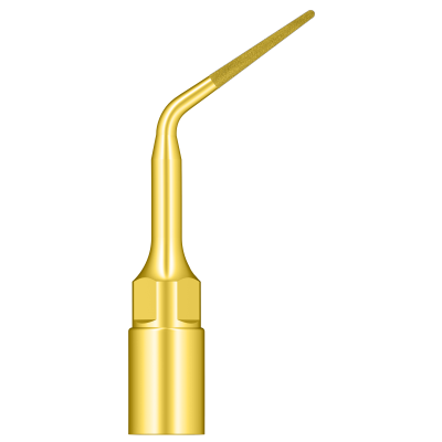 Root Surface Debridement & Root Planning UP4