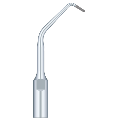 Used For Root Canal Retrogression Efficient Root Apical Polishing ED10D