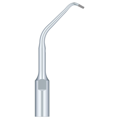 Used For Root Canal Retrogression Efficient Root Apical Polishing  ED11D